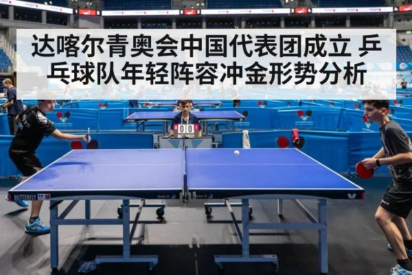 达喀尔青奥会中国代表团成立 乒乓球队年轻阵容冲金形势分析 | kaiyun
