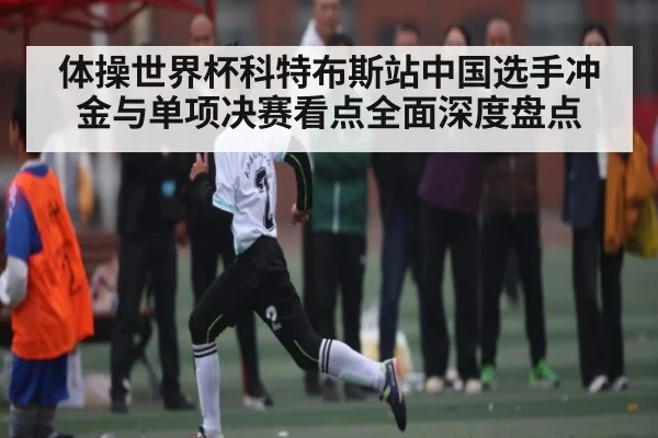体操世界杯科特布斯站中国选手冲金与单项决赛看点全面深度盘点 | kaiyun